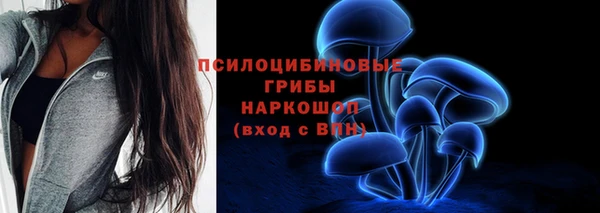 ГАЛЛЮЦИНОГЕННЫЕ ГРИБЫ Абдулино