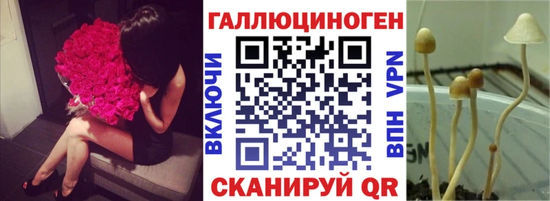 закладка  Нолинск  Галлюциногенные грибы Magic Shrooms 